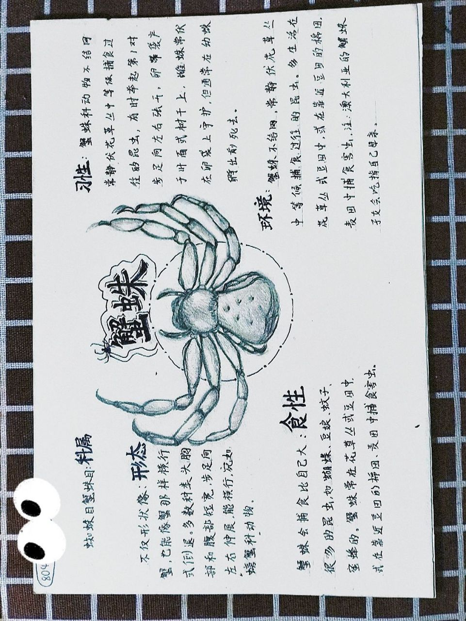 《昆虫记》昆虫思维导图——狼蛛