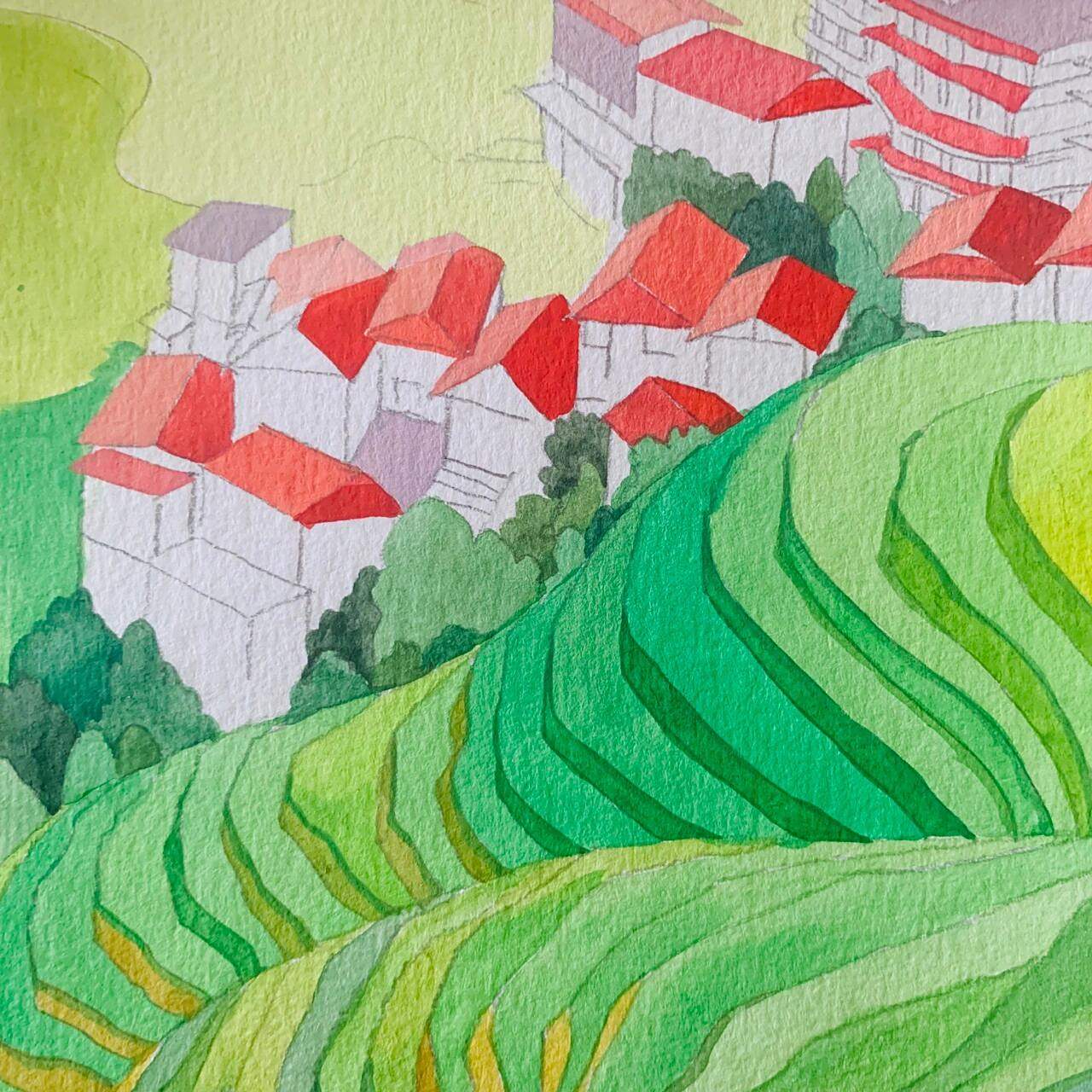 水彩手绘插画《梯田》 去年画的一幅手绘,喜欢柔软的绿