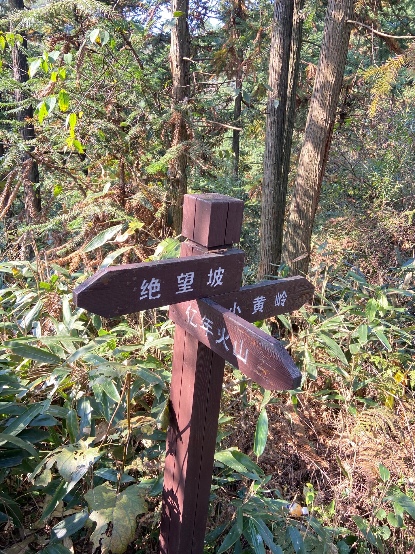 萧山戴村的华克山庄图片