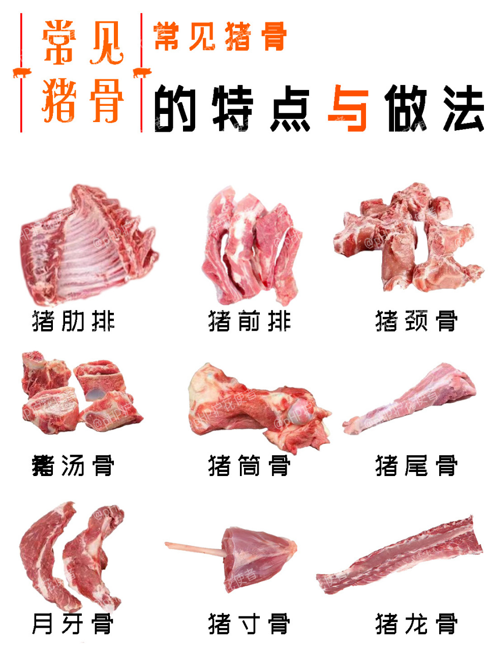 常见猪骨的区别,9种不同部位骨头的吃法 97一般提到排骨95,所指的