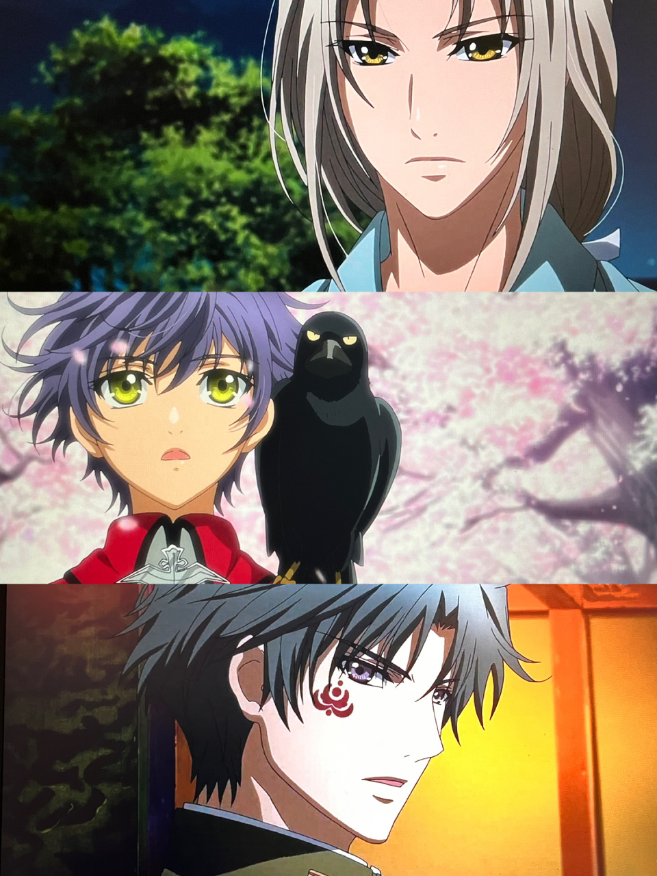 7分免费看) 95剧情简介:因为犬冢村一场瘟疫存活