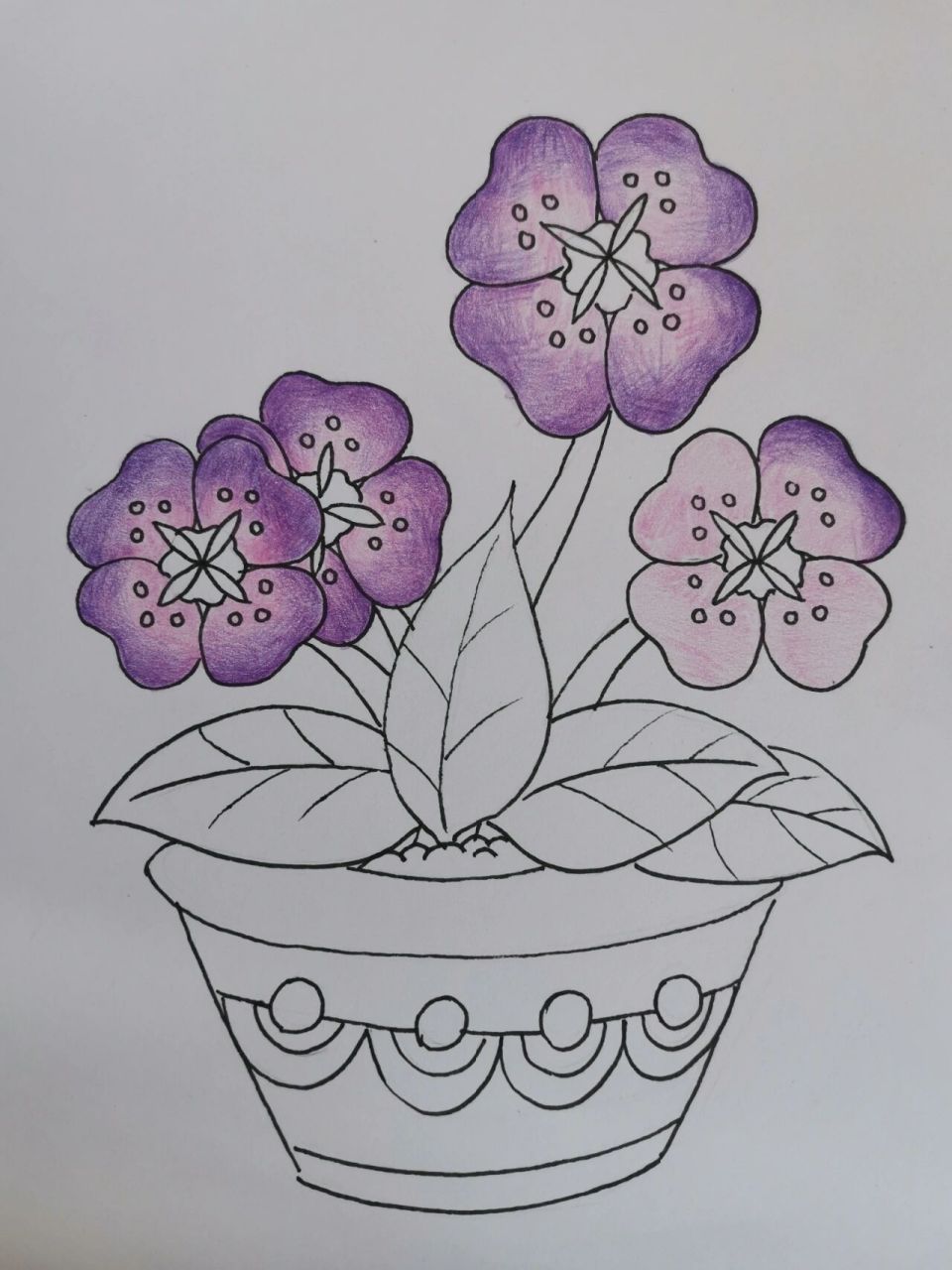 简笔画(97)跟我一起画盆花