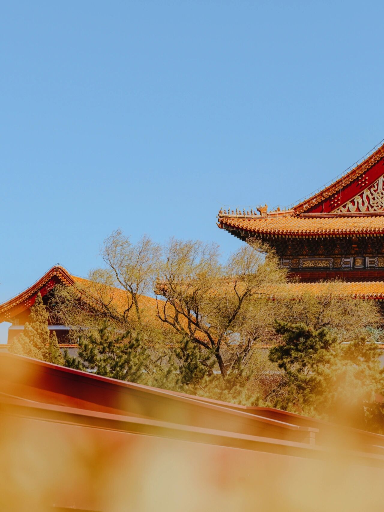 里的五星红旗迎风飘扬 今天北京的天特别好,和煦的春风让人格外舒服