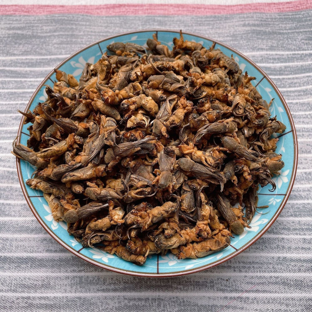 蝼蛄利水94通便,治水肿,石淋 蝼蛄 98蝼蛄的功效 利水,通便.