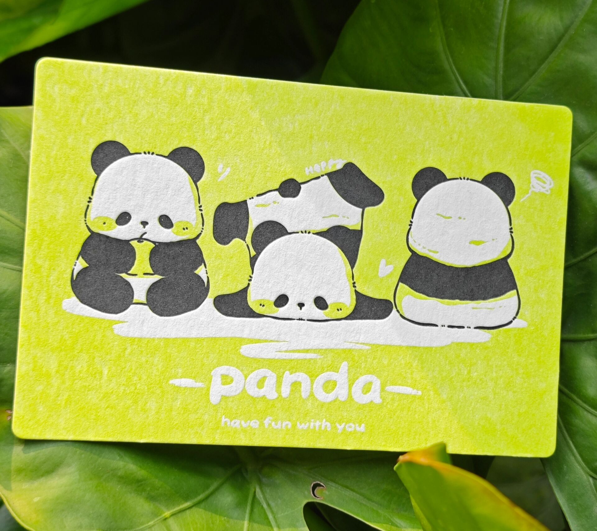 国宝熊猫明信片