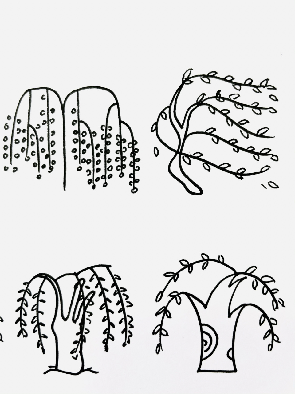 【简笔画】柳树98 分享一组植物类简笔画—98 还喜欢什么,大家