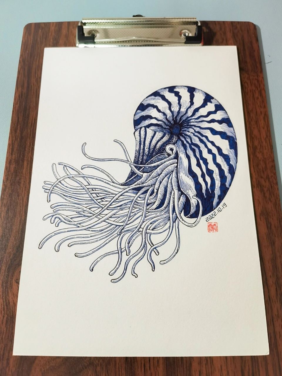 画几只小动物~小动物系列鹦鹉螺 画了几张小动物 时间上倒是比风景上