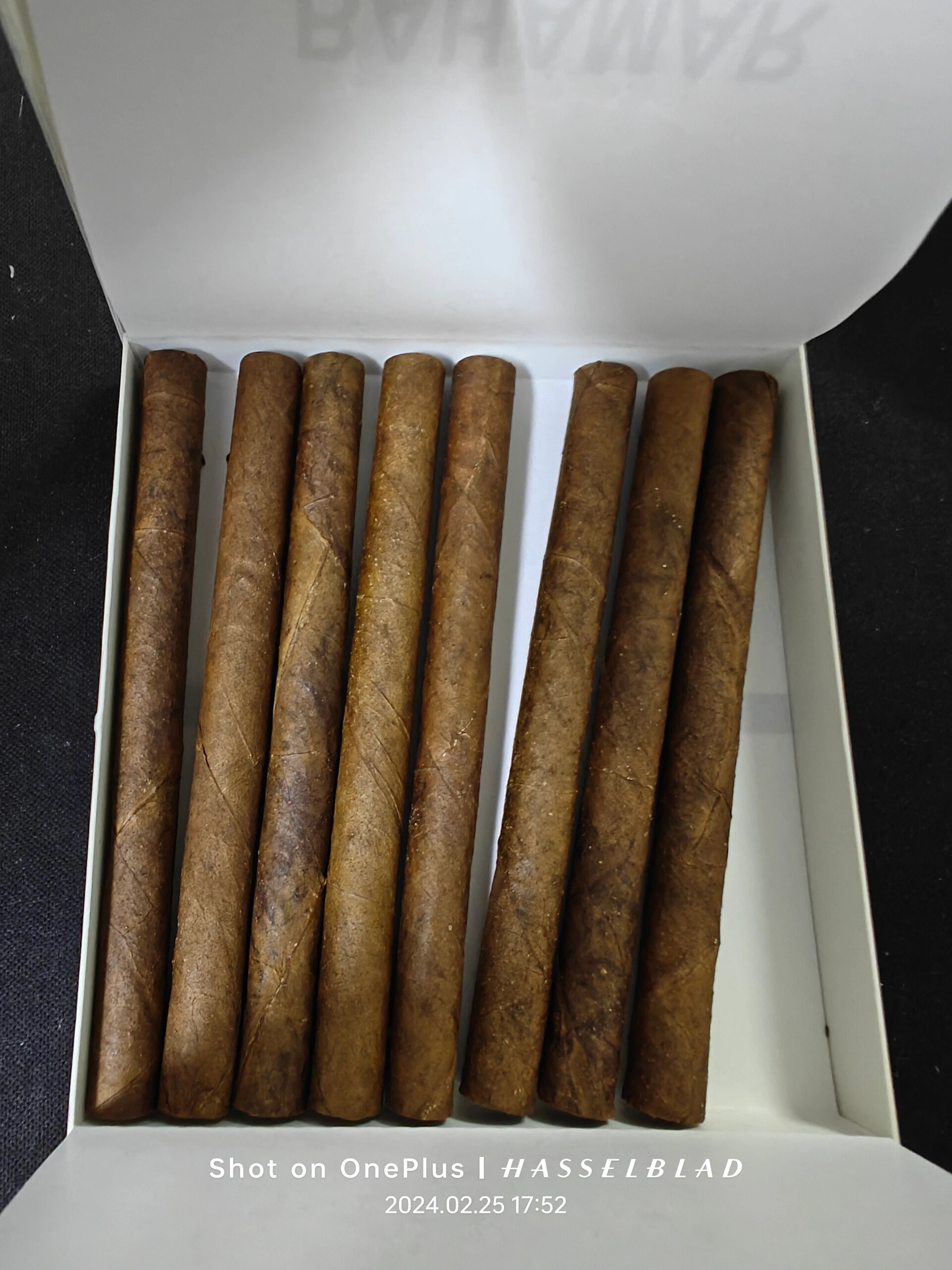 泰山巴哈马96存在的意义是什么?