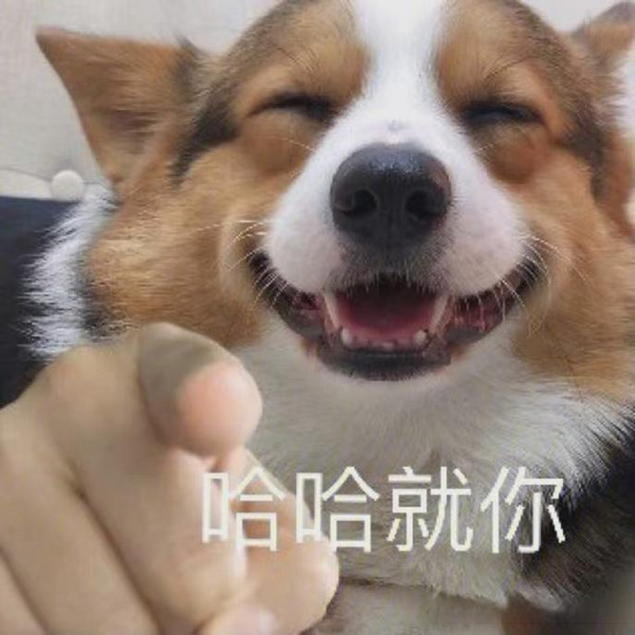 就冲这服务态度,下次买家电要不要选他们好呢?