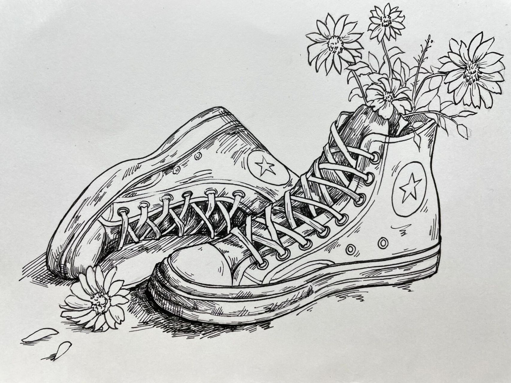 线描淡彩《帆布鞋》 这个季节,你还没有一双帆布鞋吗?