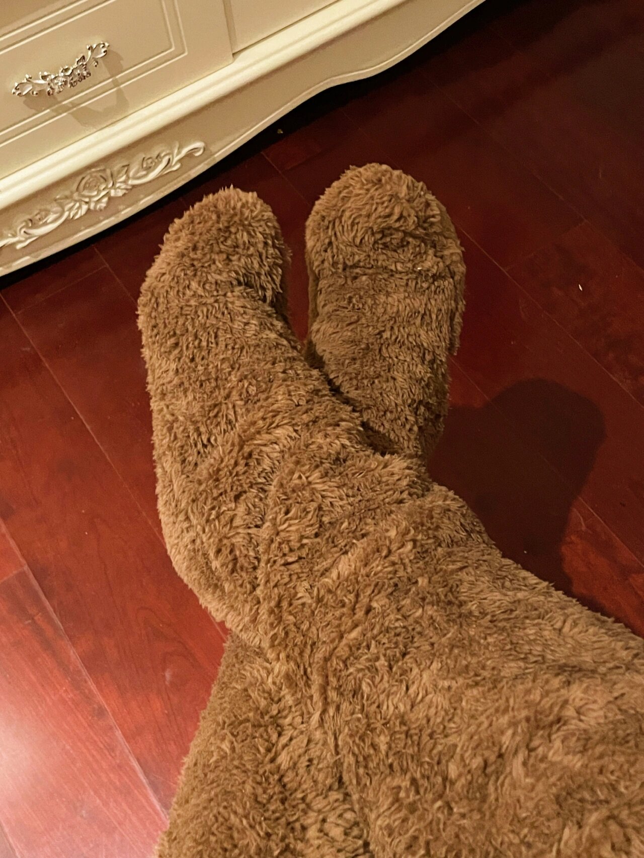 朋友送了我一双过冬毛腿袜 穿上越看越像美92王 hhhhh