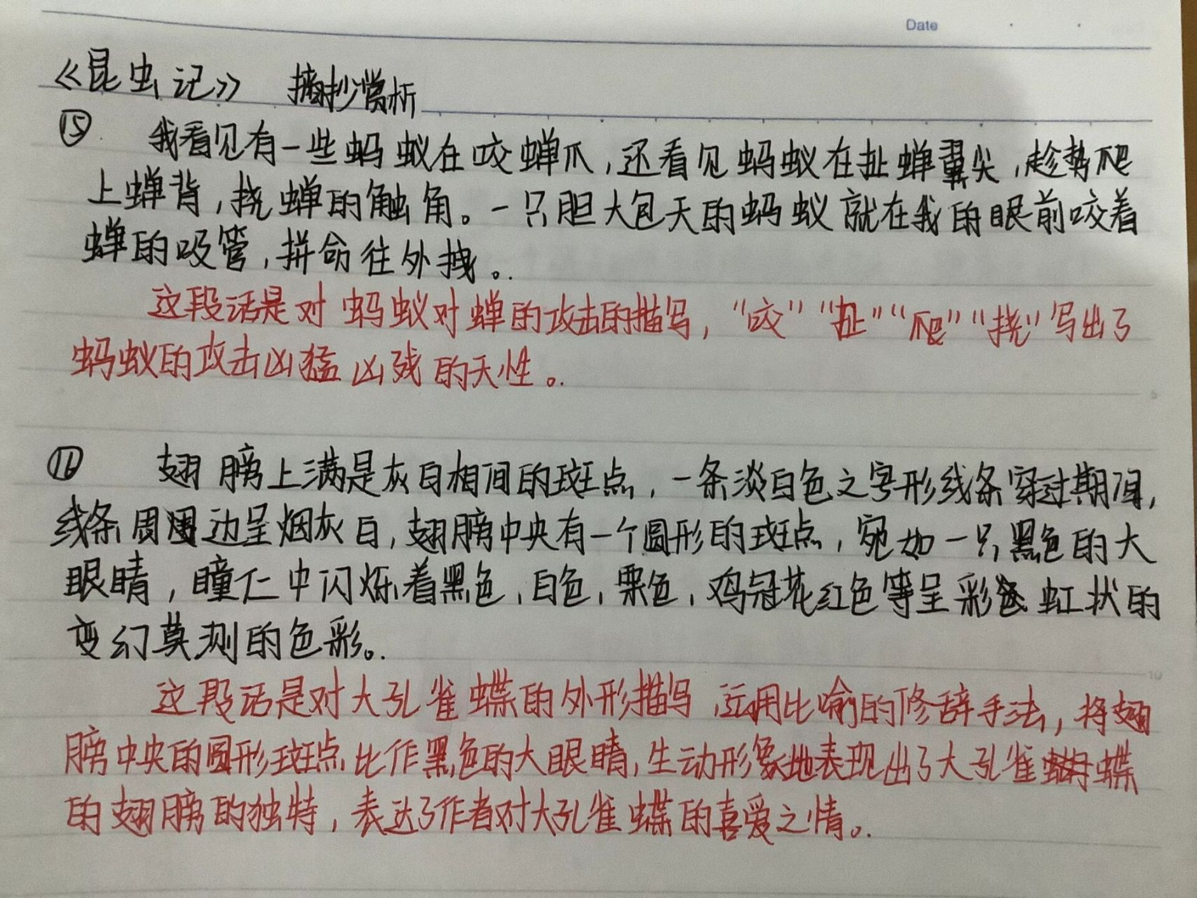 《昆虫记》 摘抄77赏析