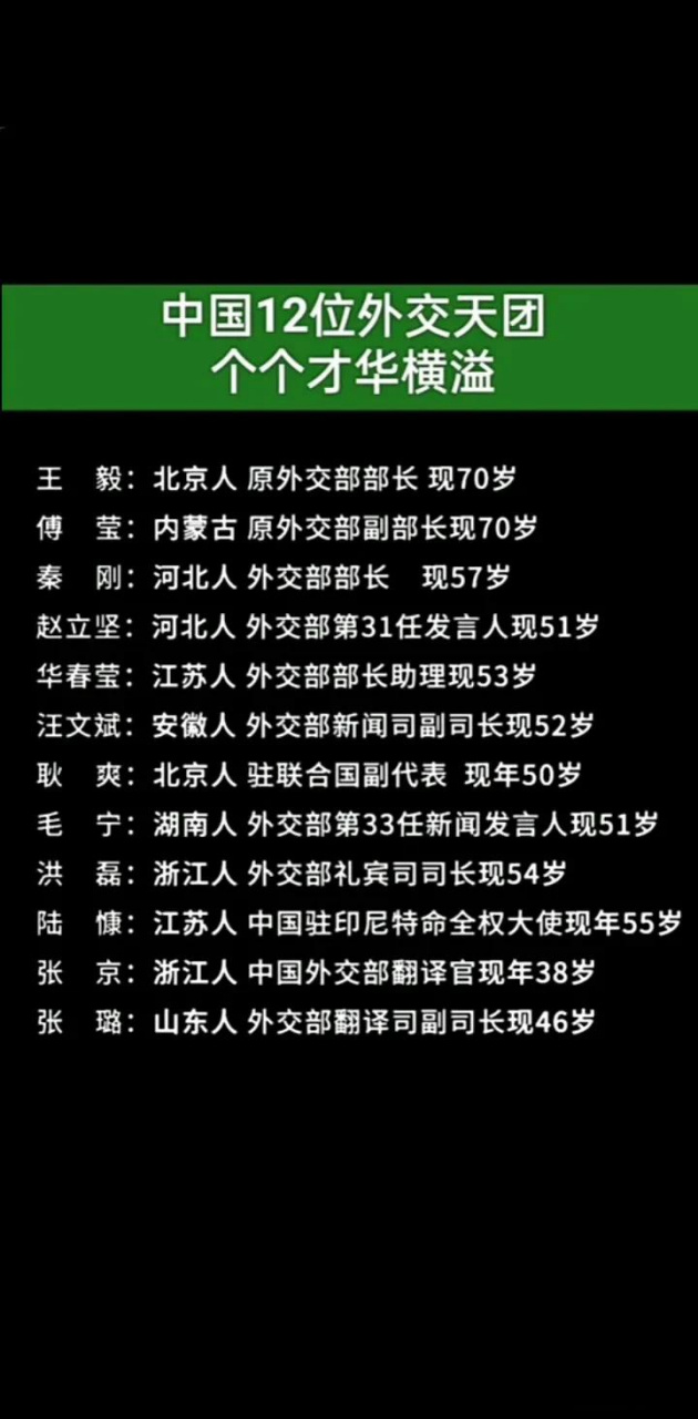 我國12位外交天團中國外交格局