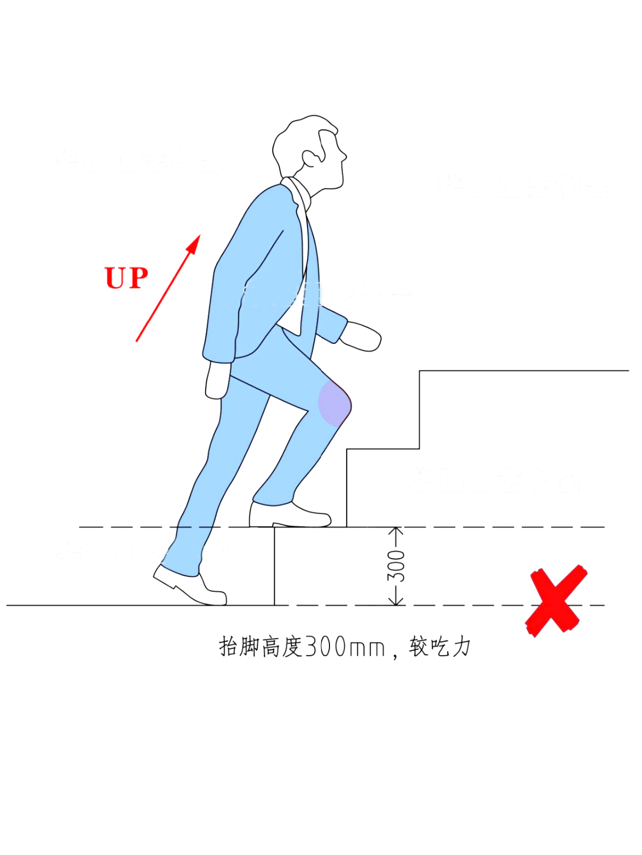 楼梯踏步长宽高图片