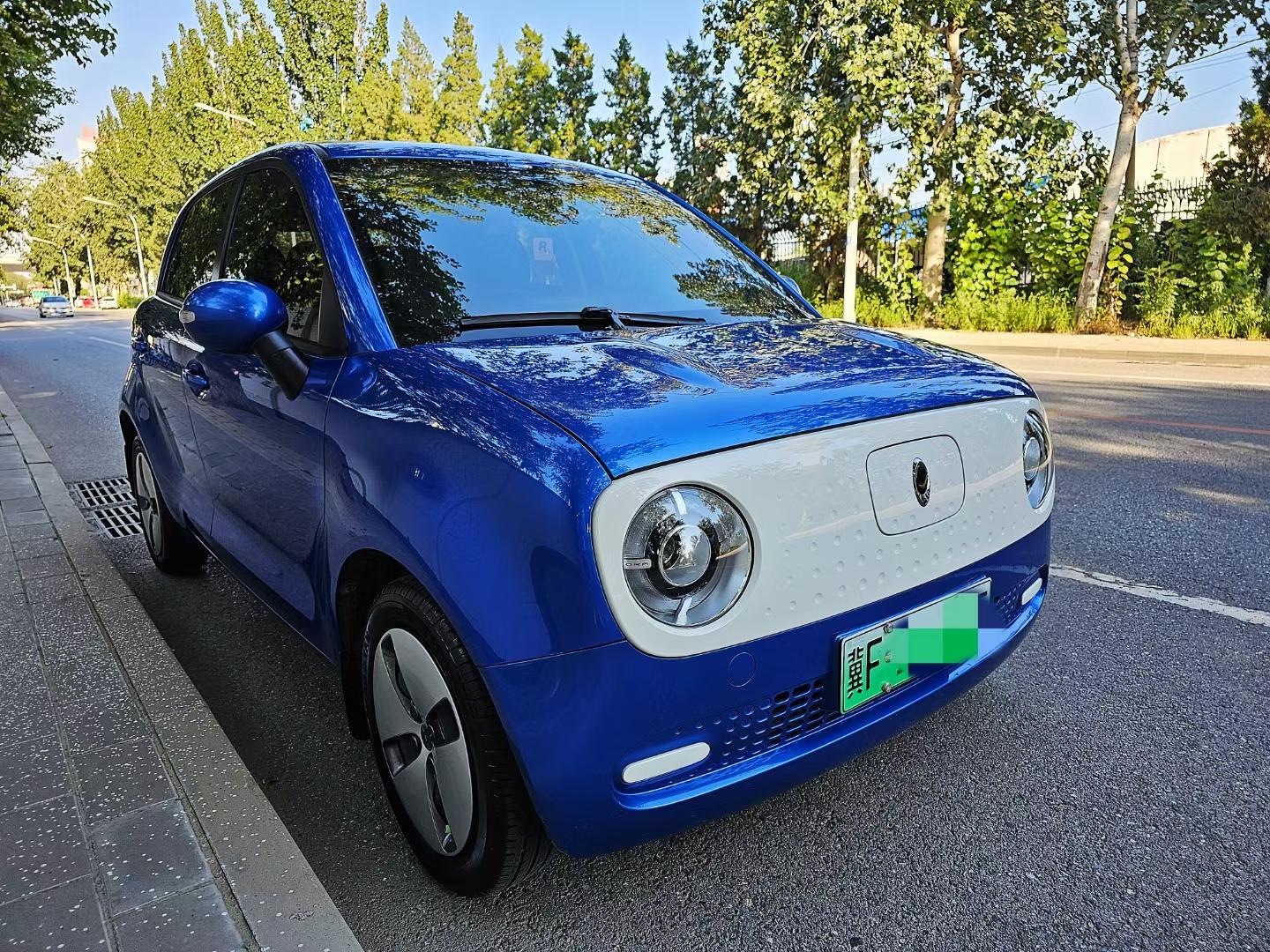 新到19年6月 欧拉黑猫一台 续航310公里 支持快慢充