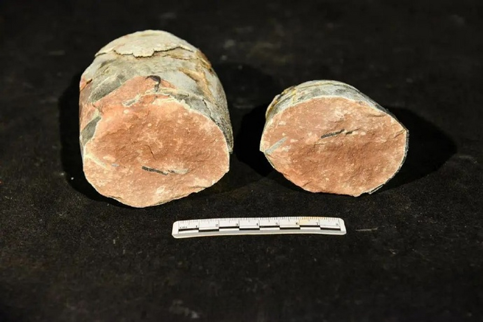 小而脆弱,极少能被以化石形式保存下来,这两枚珍贵恐龙胚胎化石将为研