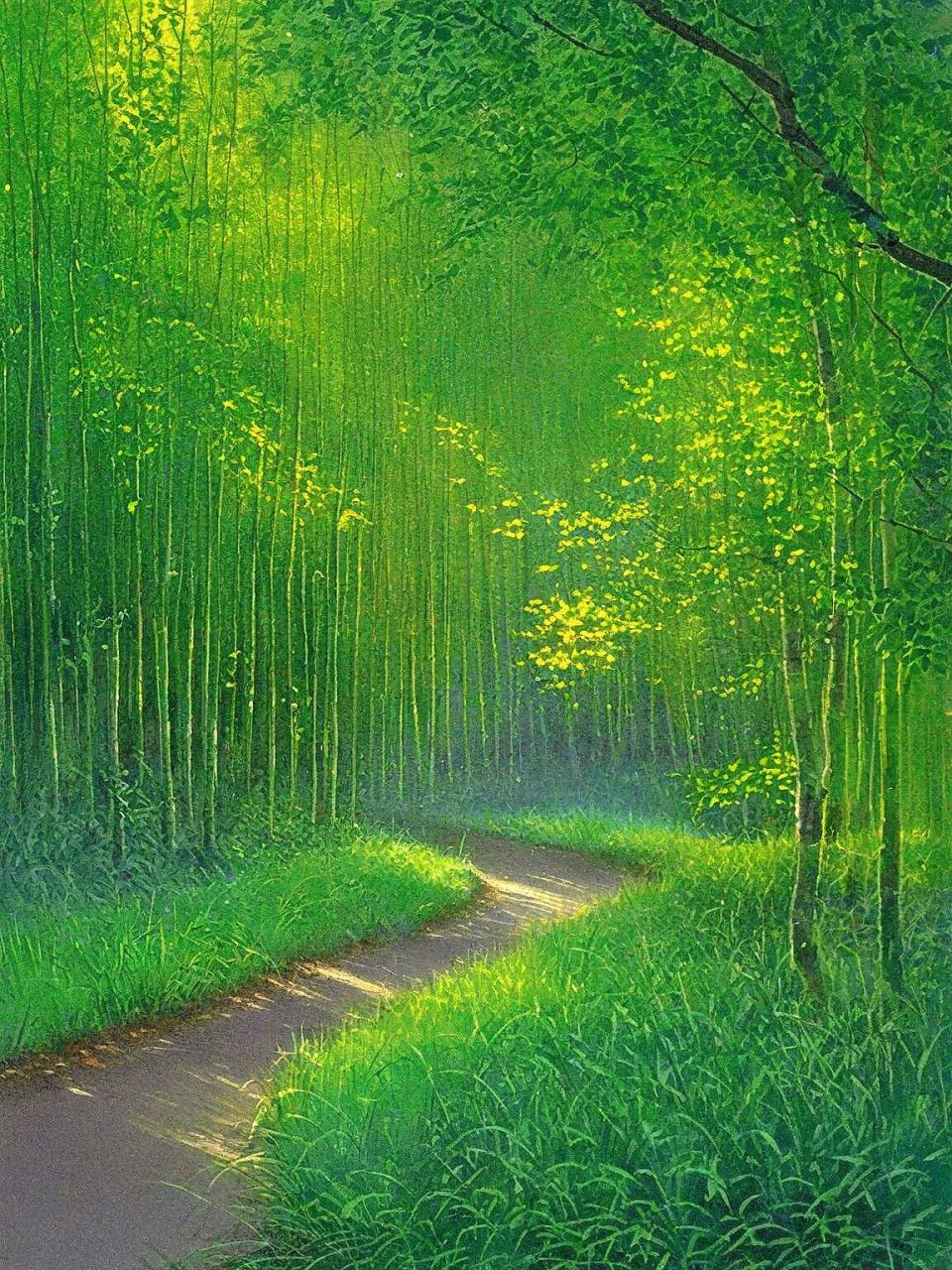 林间美景·静谧森系壁纸