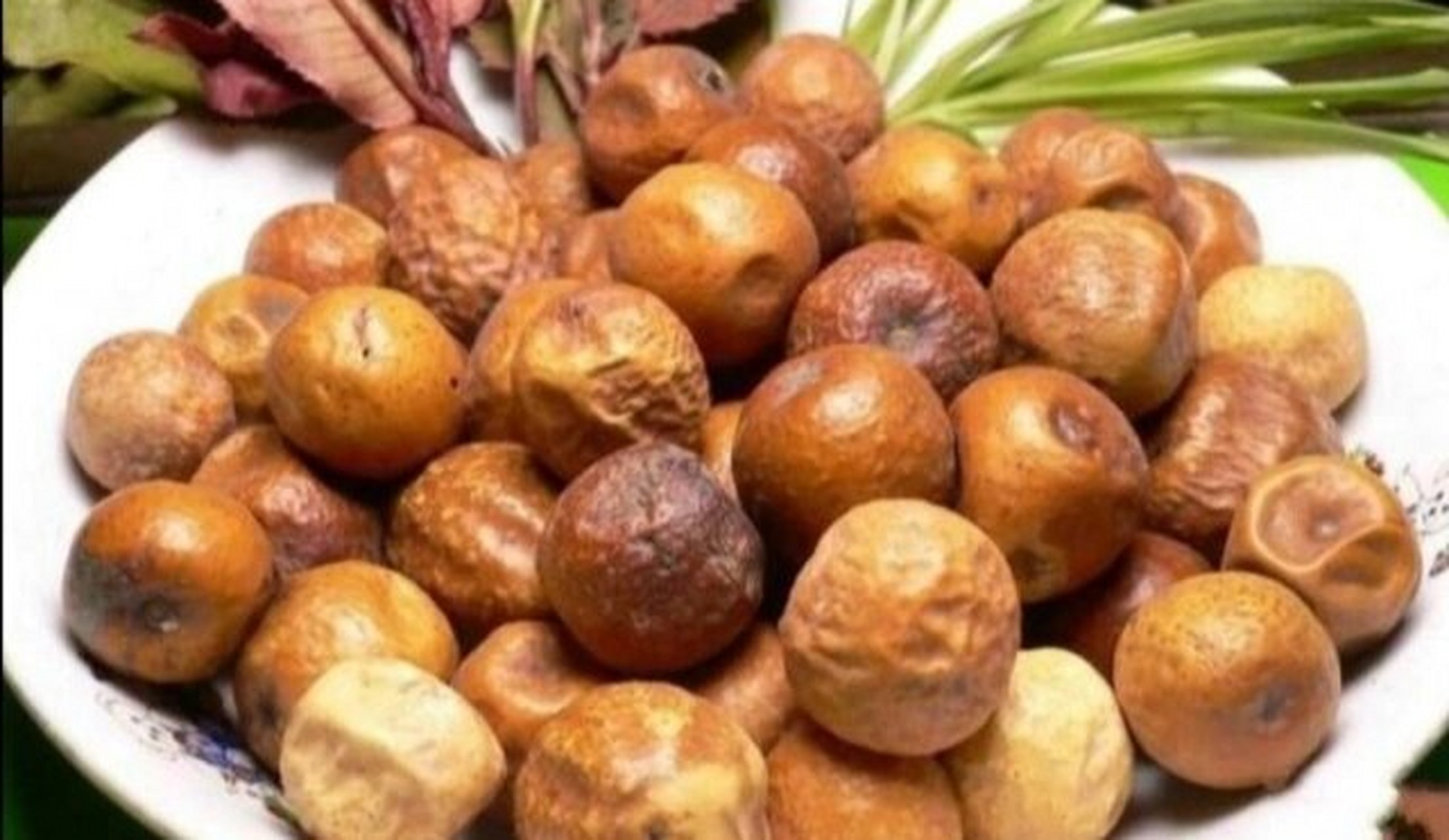 药性赋--金铃子(1) 金铃子治疝气而补精血. 金铃子,即川楝子.