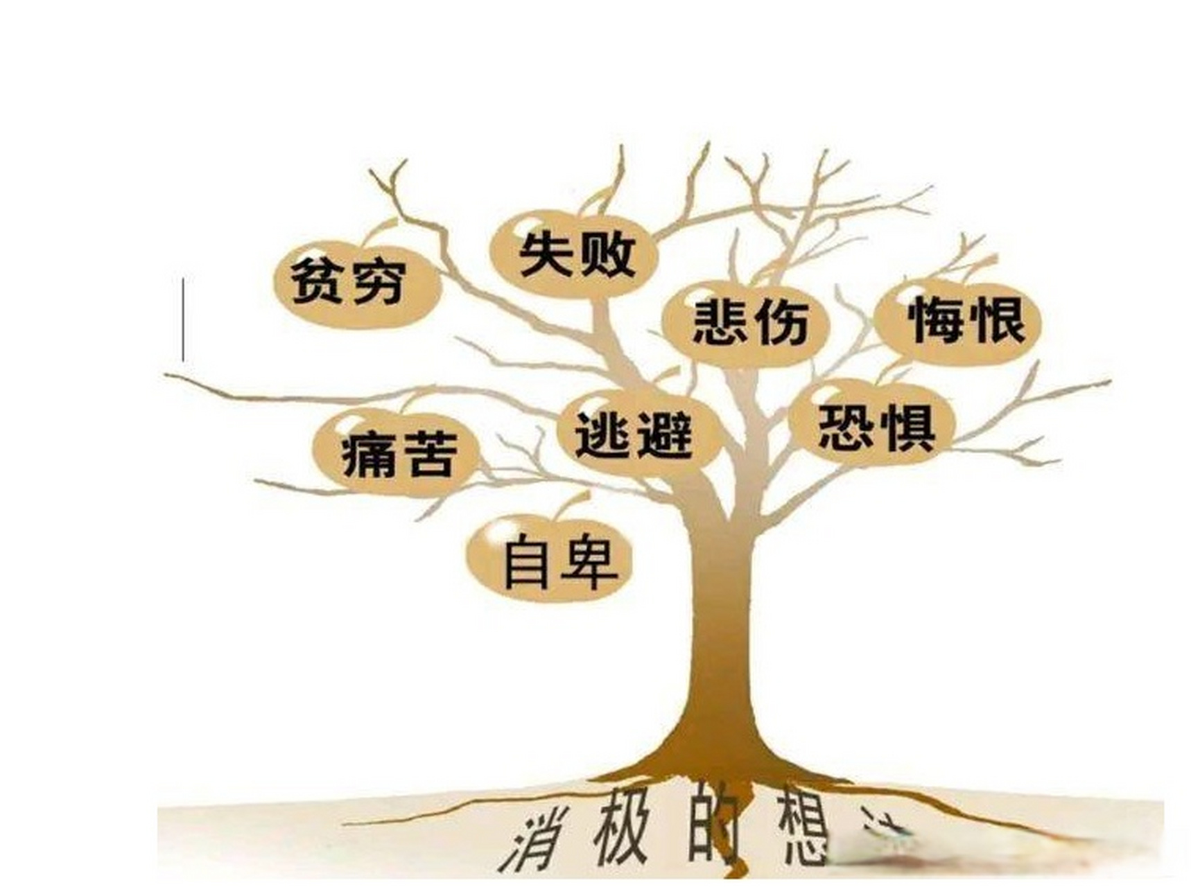 《认识自己,接纳自己》这本书,这是由美国马丁61塞利格曼所著,这是