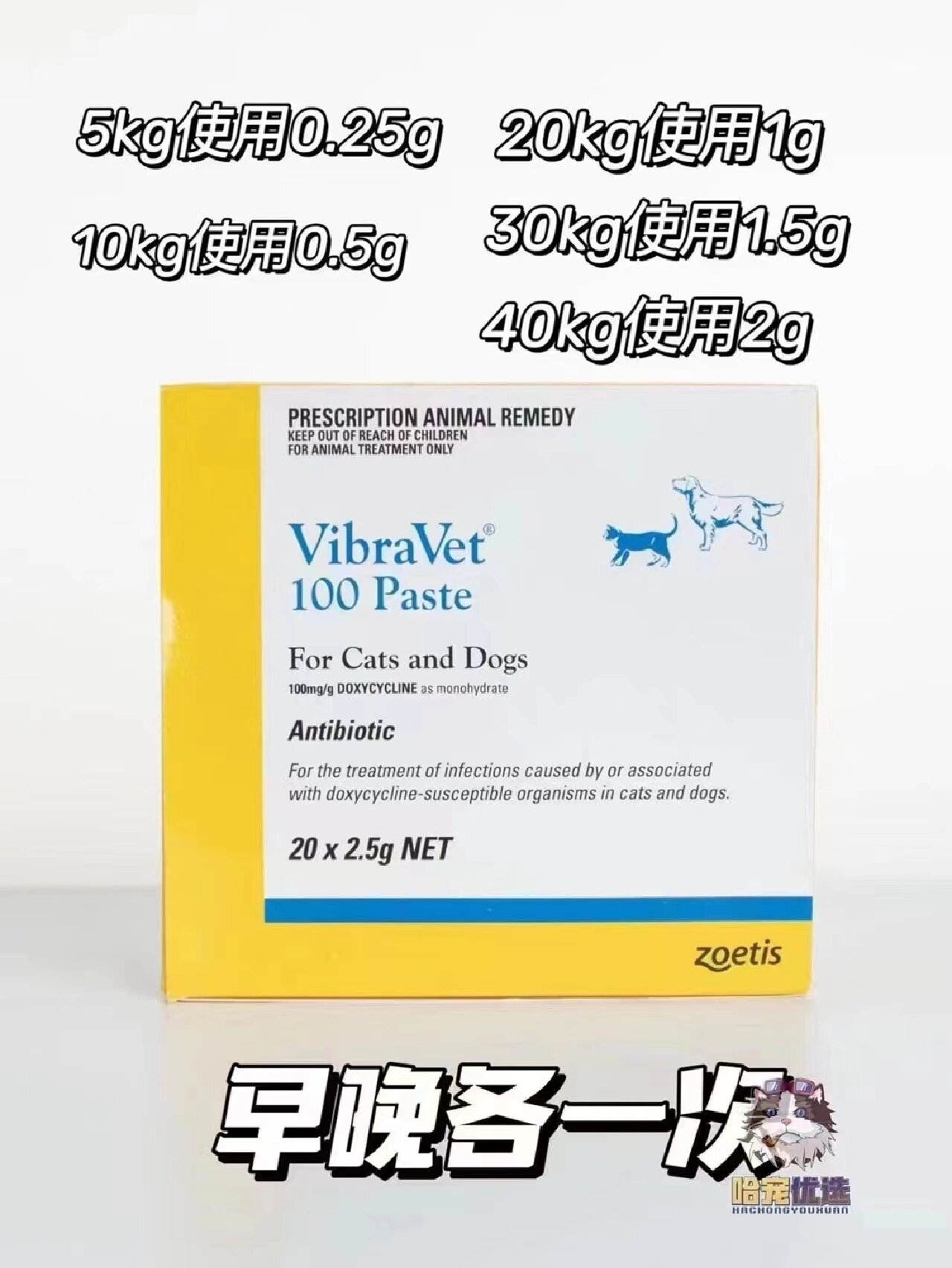 辉瑞巧克力膏99100一支上呼吸道消炎效果 辉瑞巧克力膏99100一支