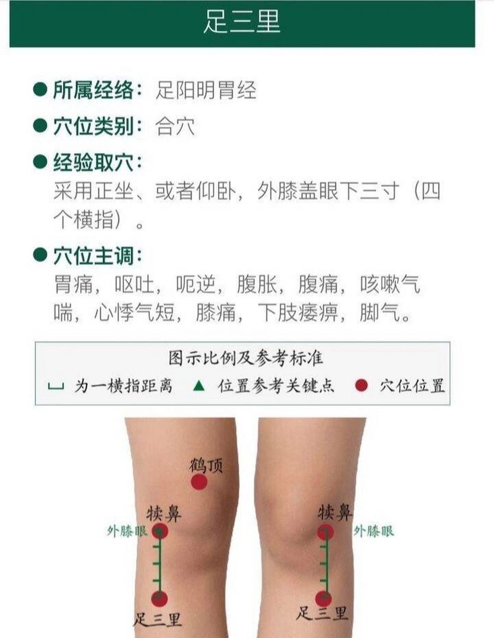 艾灸足三里有感 下午又灸足三里一个小时,排寒变少,打哈欠打嗝排气多