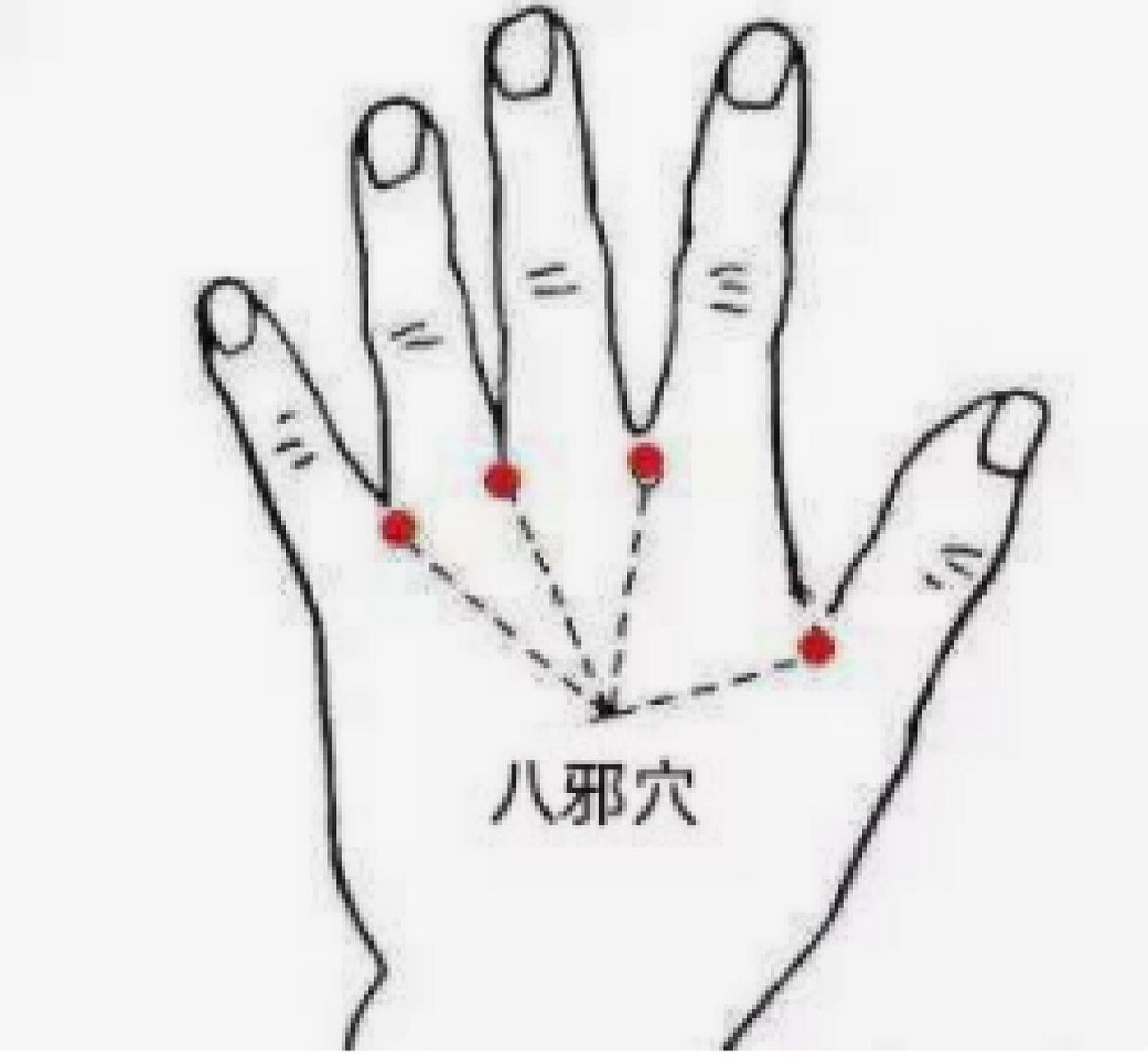 八邪穴:舒筋活络,消肿解毒 八邪穴是一组经外奇穴,具体位置在手背侧第