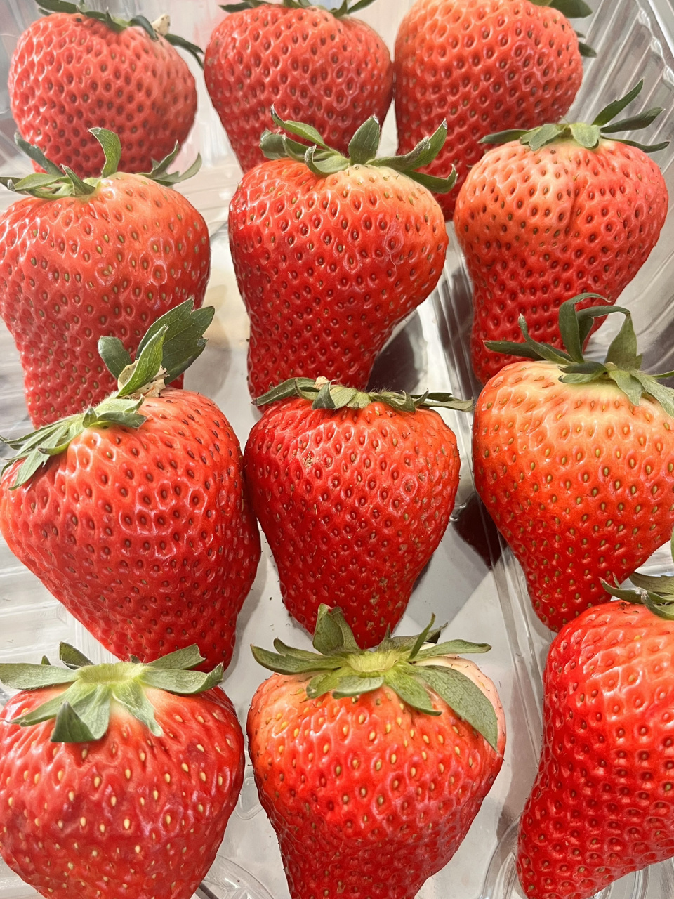 正宗丹东东港椅圈镇主产区91 又大又甜 九甜一酸一奶香! 嘎嘎甜!