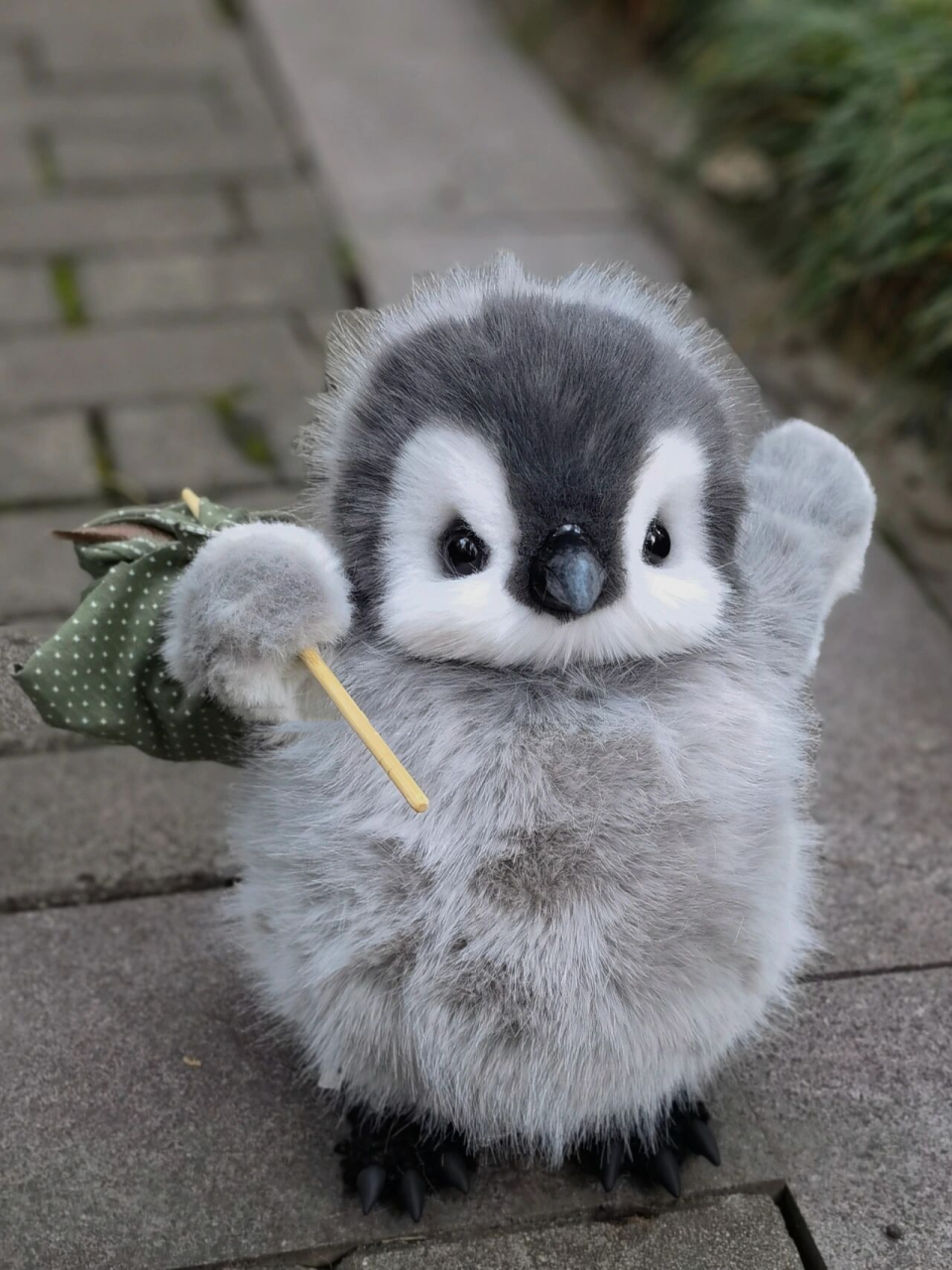 企鹅宝宝(炸毛):"生气了,哄不好了!" 看到它的ee们麻烦把它送回来