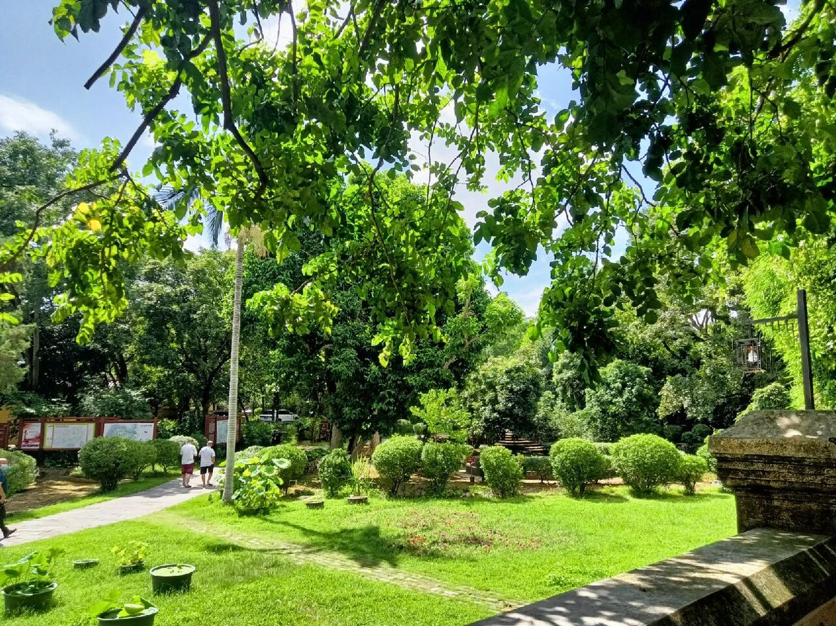 明秀园|武鸣必去 73 总的来说是一个很大公园166各种绿植,秋天也