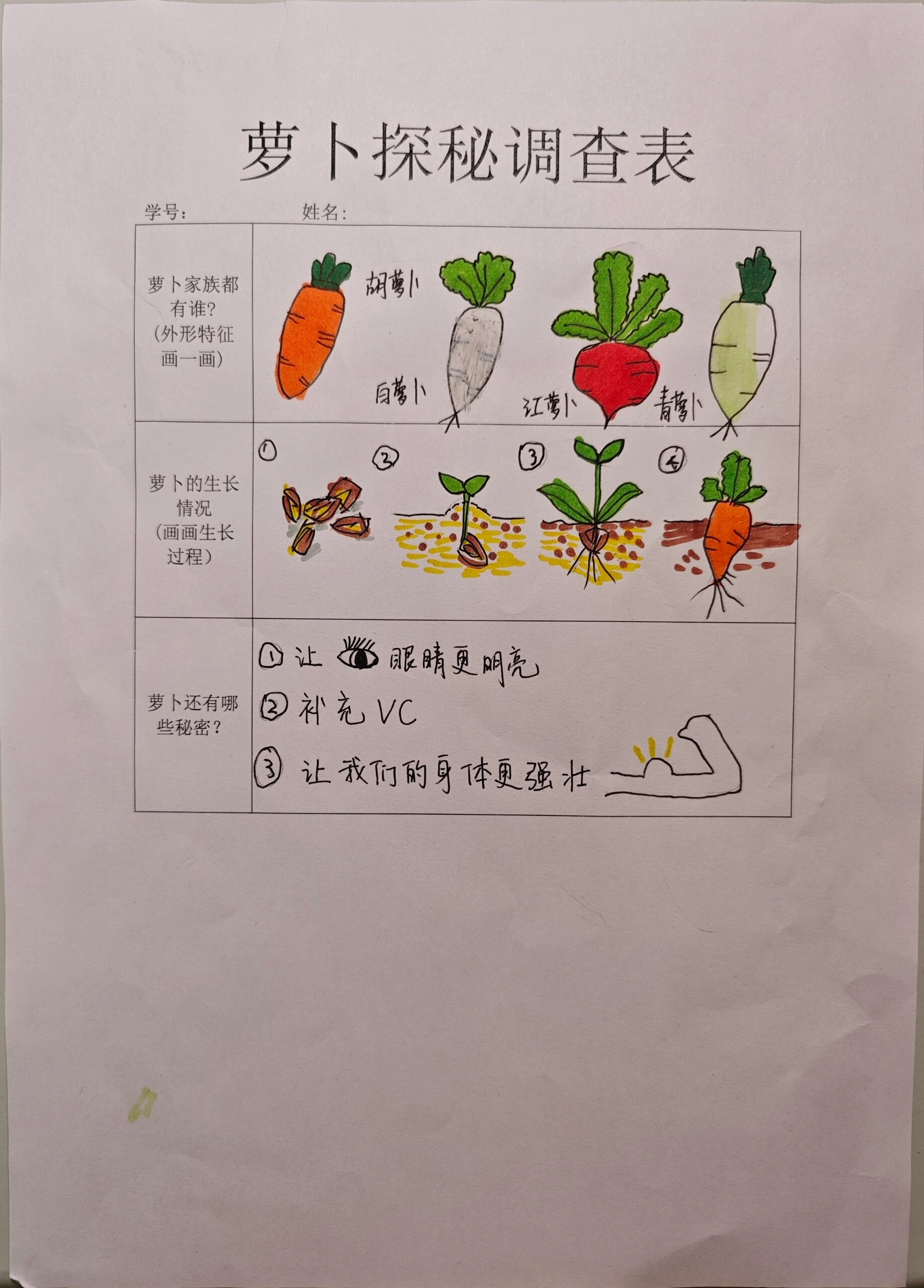 幼儿园调查表制作模板图片