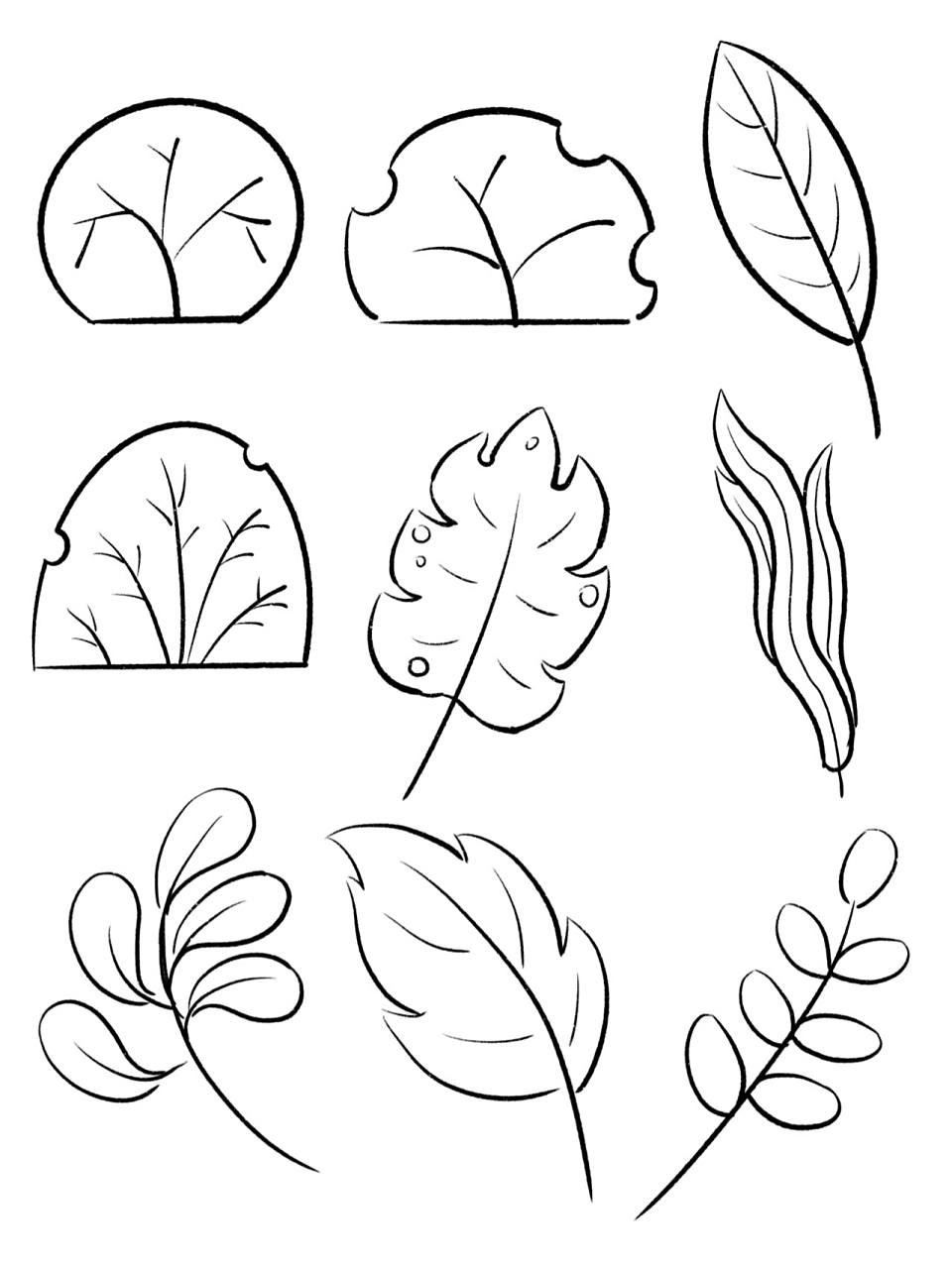 简笔画|植物树叶画法 各种植物的树叶来啦!