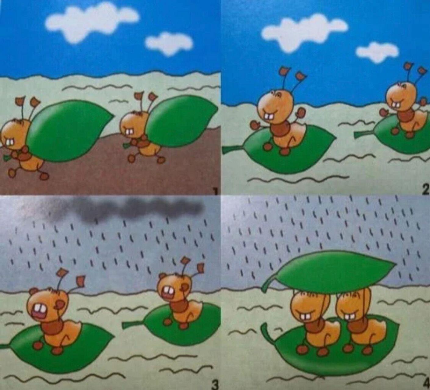 小蚂蚁和树叶看图写话二年级 小蚂蚁的一天  kaihao 夏天来了,天气