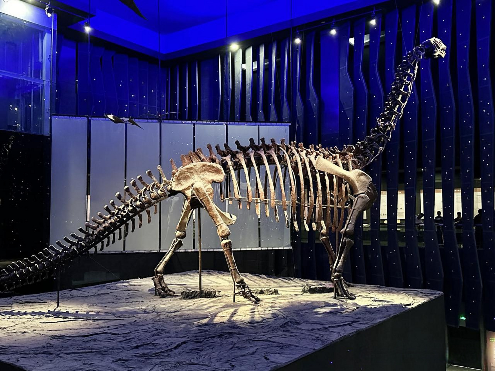 内蒙古博物馆镇馆之宝,恐龙化石发个微头条总结七月出行