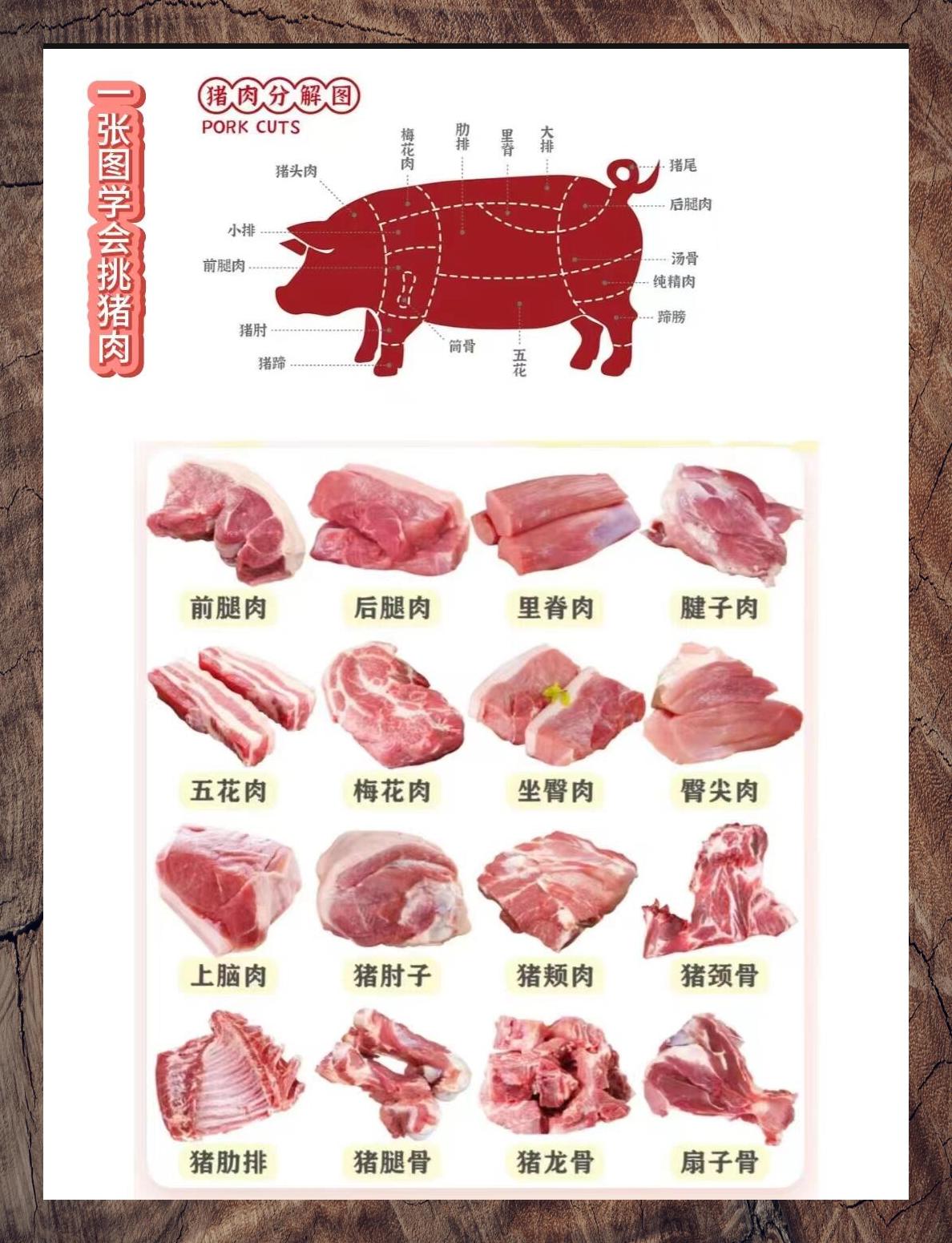 猪肉位置名称大全图片