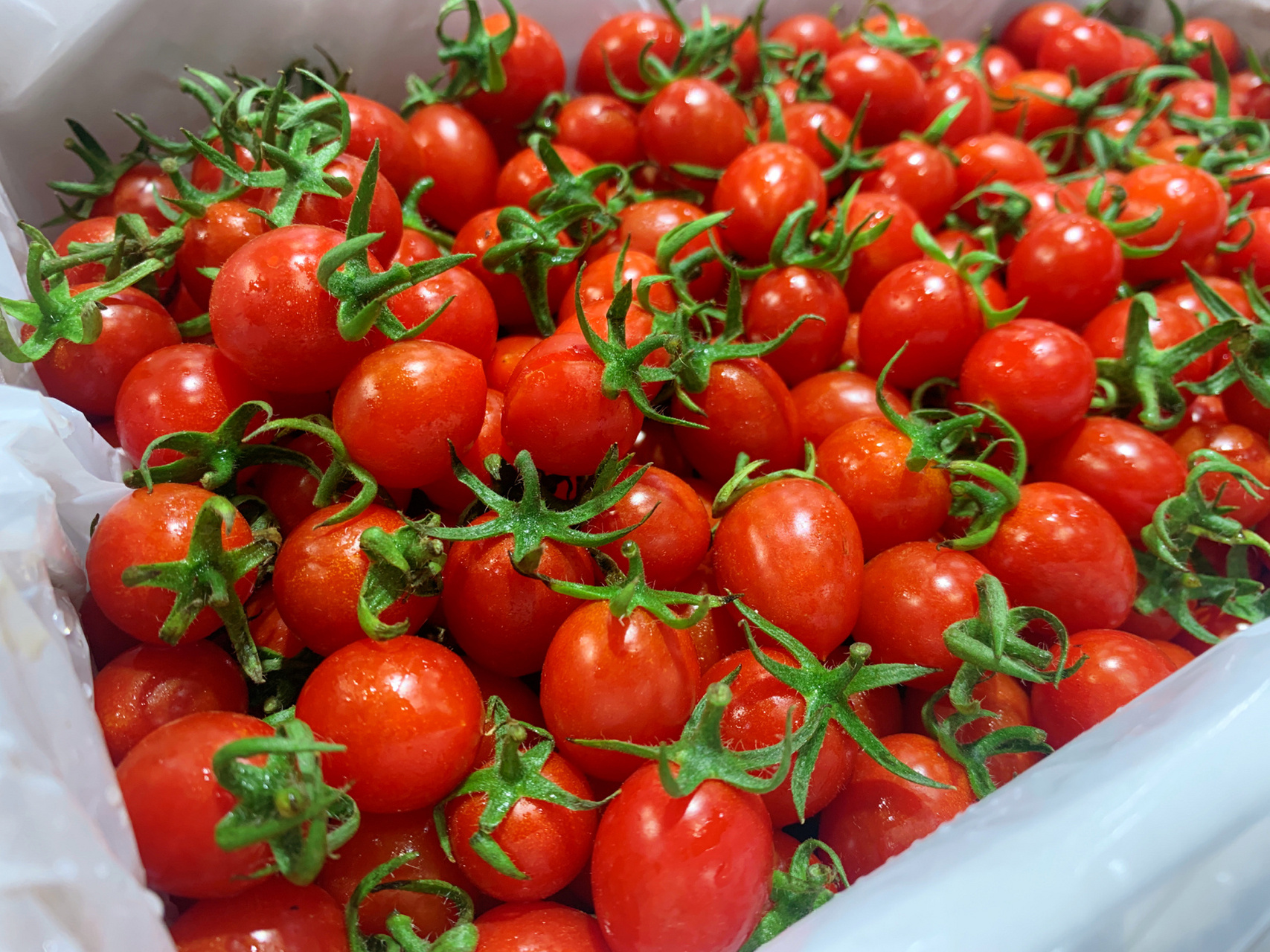 玲珑千禧很甜超级好吃97 玲珑小番茄97超级好吃 爆汁的小糖豆,脆