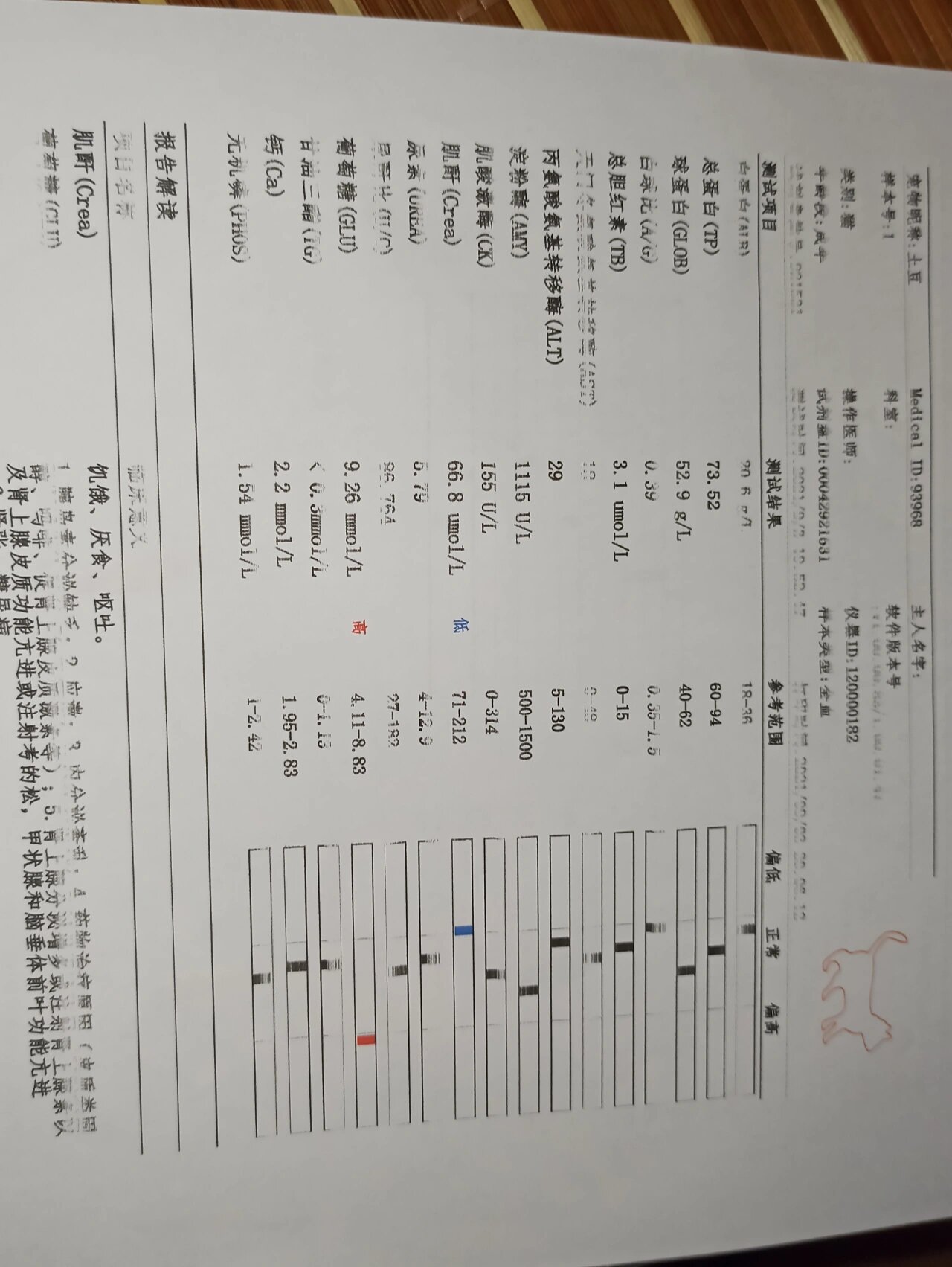 我家猫咪白球比太低了0