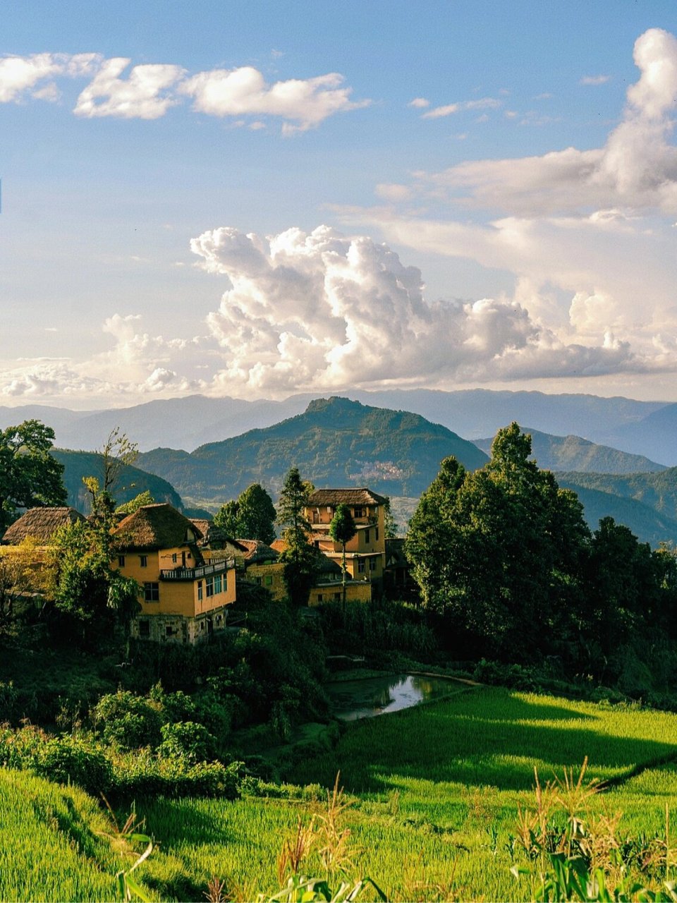 哈尼族古村落阿者科|大山里的蘑菇屋 96地址:云南省红河州元阳县