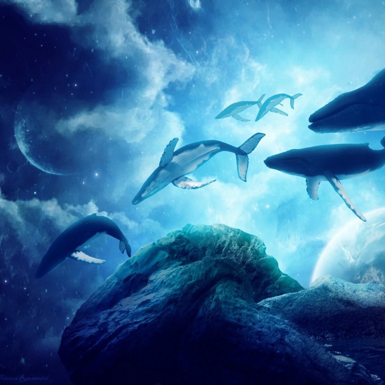 鲸鱼头像⑤    求点赞,谢谢