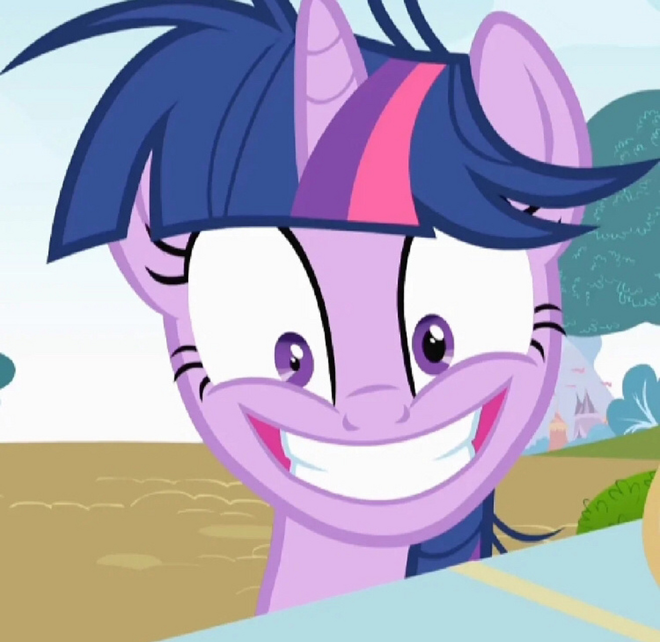 小马宝莉沙雕图片(六)[紫悦篇]