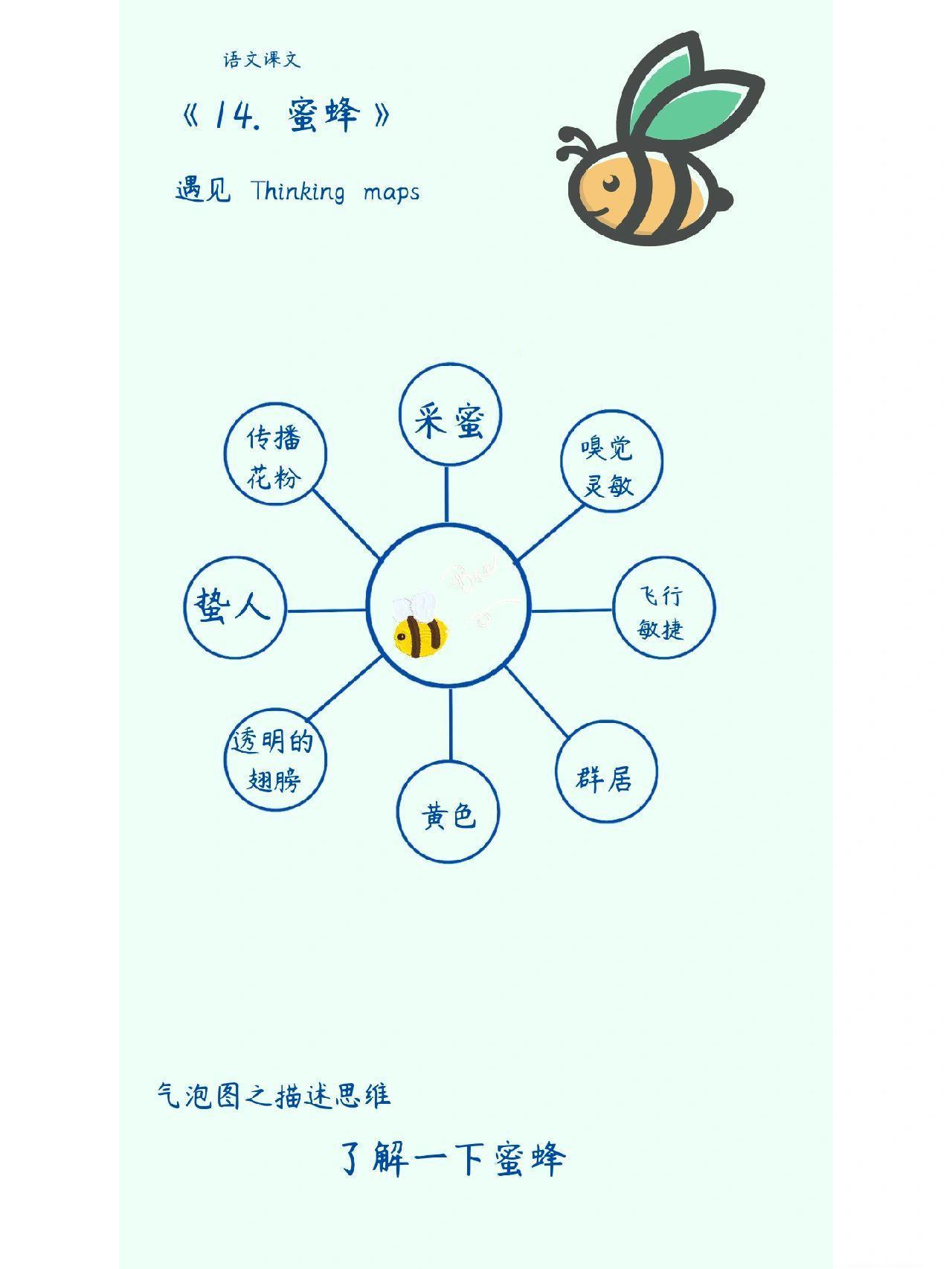 当语文遇见思维导图《蜜蜂