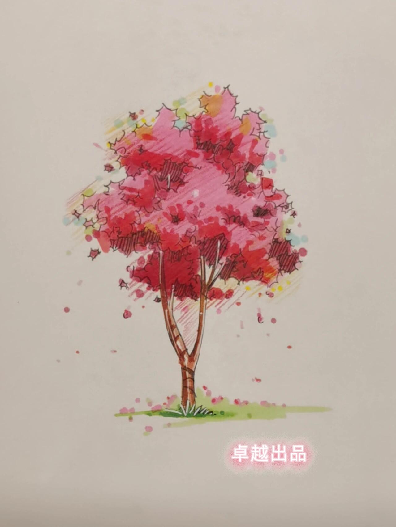 樱花树马克笔手绘