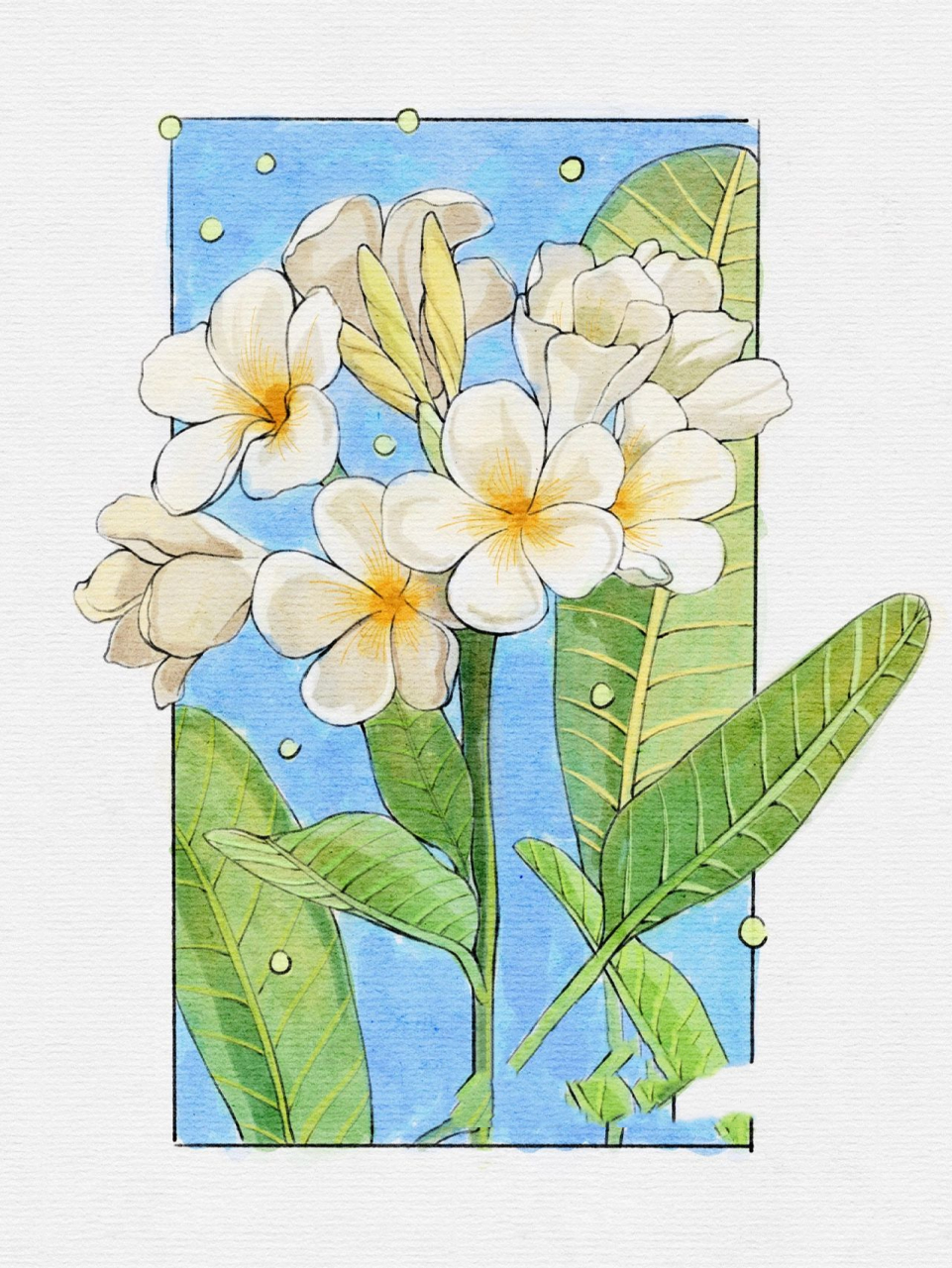 植物花卉教程|零基础学画画97 94"你不一定要长成玫瑰,如果你愿意