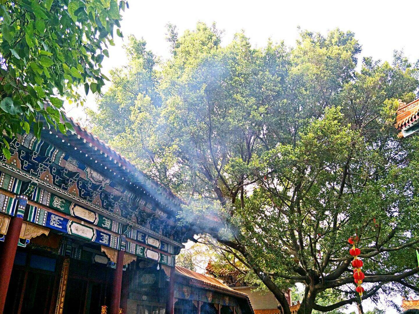 闹市中的宁静之地——厚街海月岩 海月岩位于厚街镇涌口村金牛山,该山