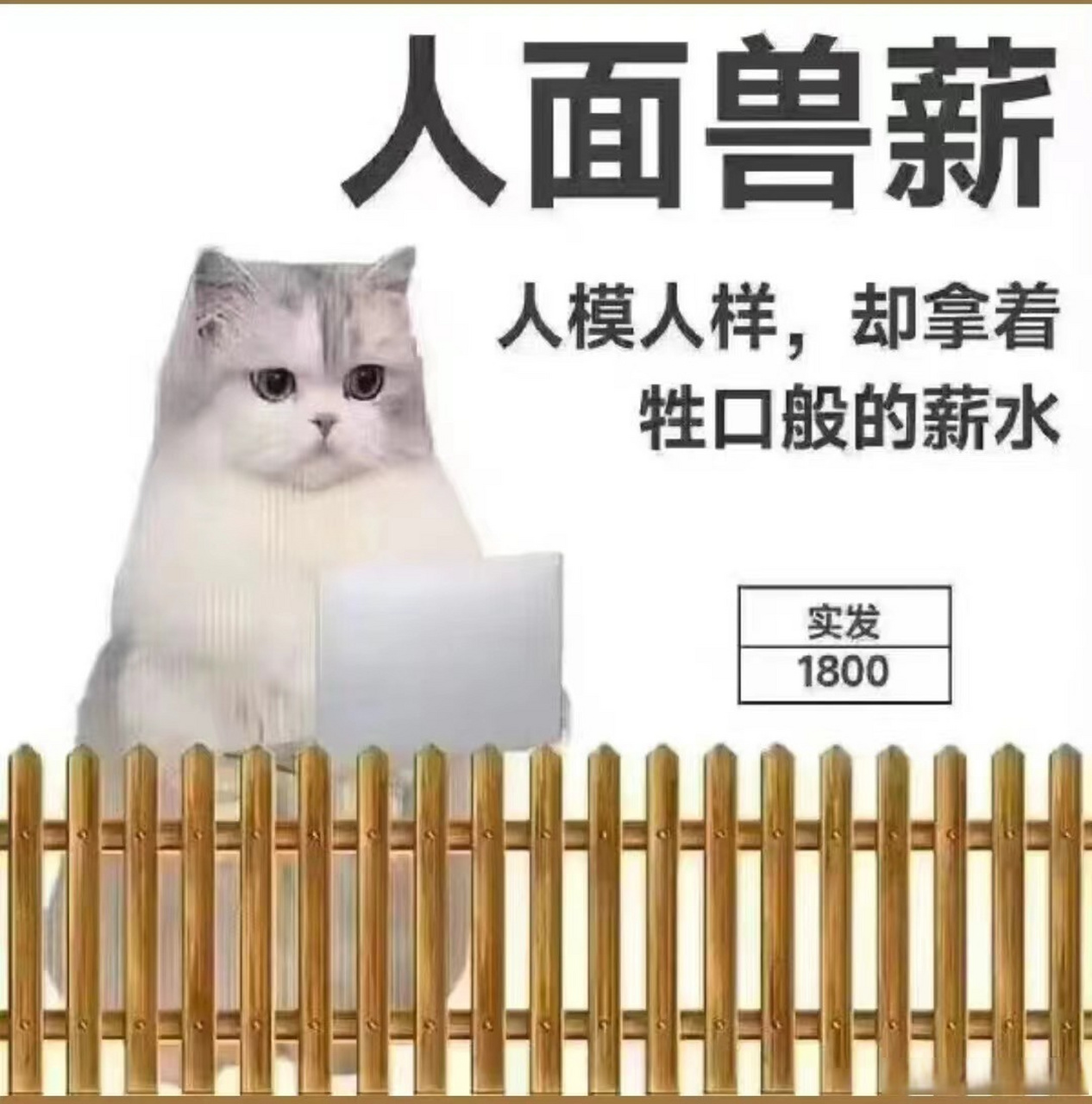 人面兽心是资本家,人面兽薪是打工仔