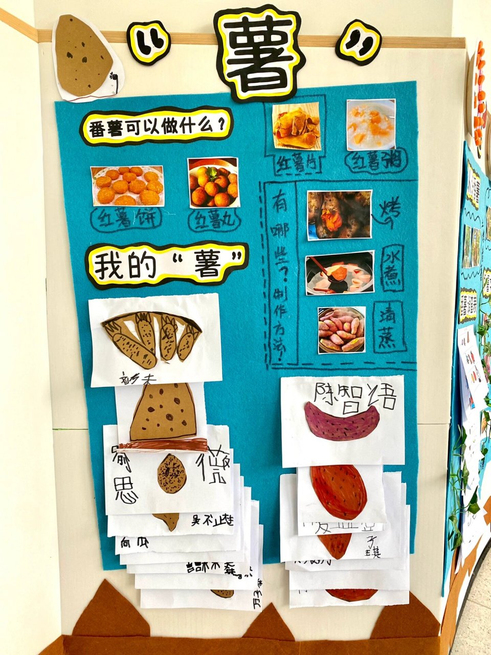 大班班本故事|"94薯"与我们 16615:课程缘起,主题网络图 	 2