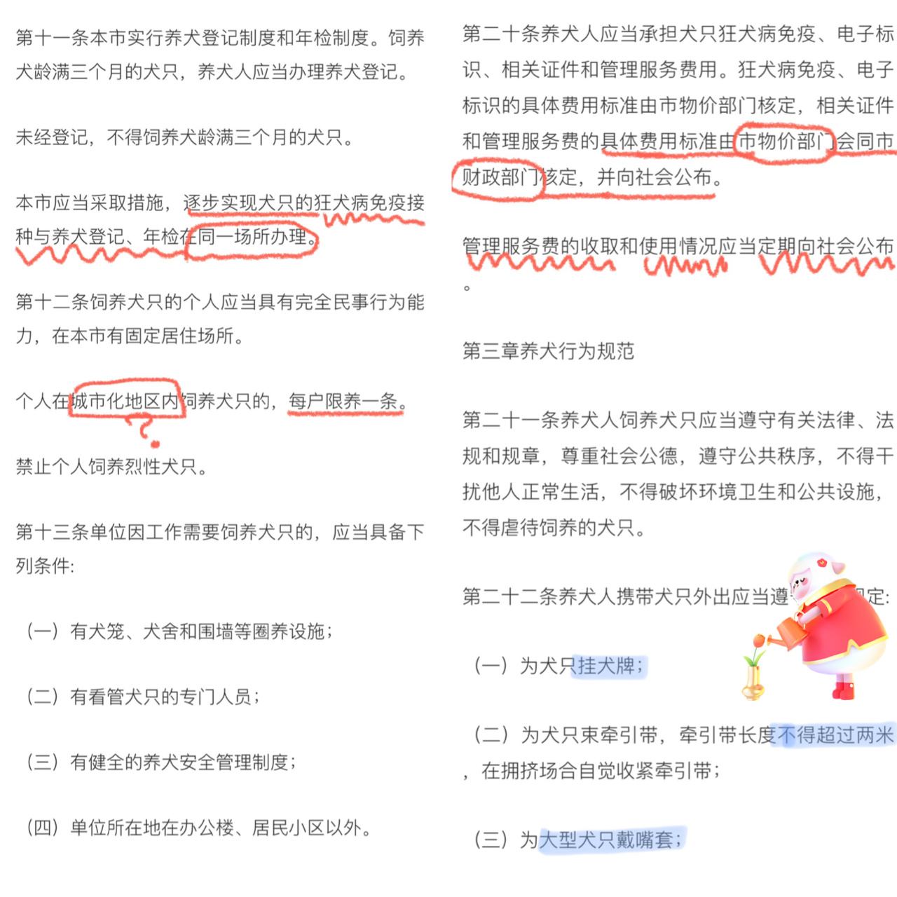 2021上海养犬新规管理条例