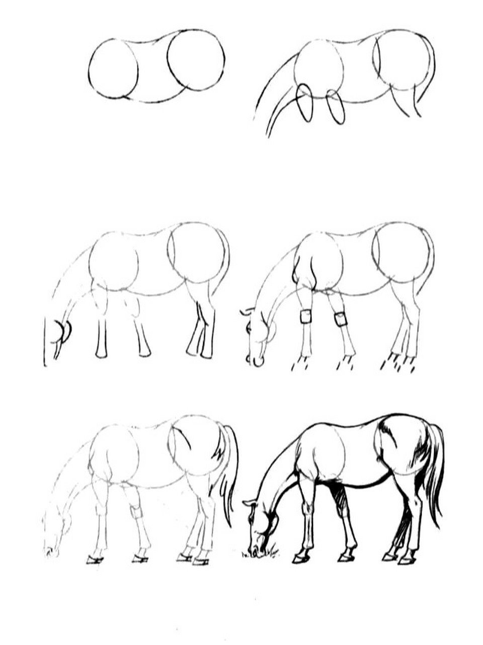 一步一步简笔画|98画马98 969696989