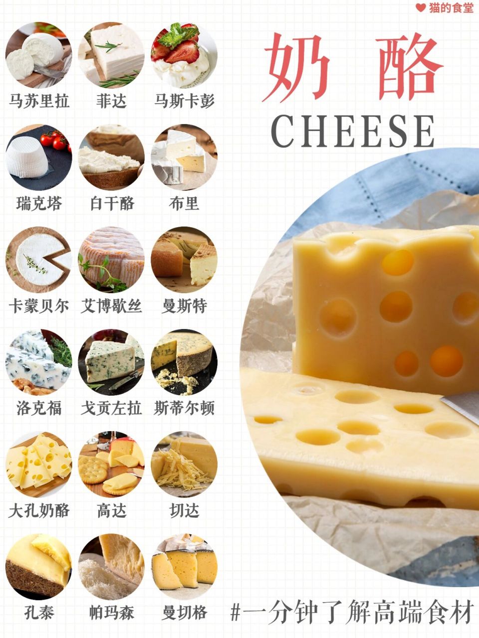 『06科普』芝士种类千千万,你喜欢哪种?