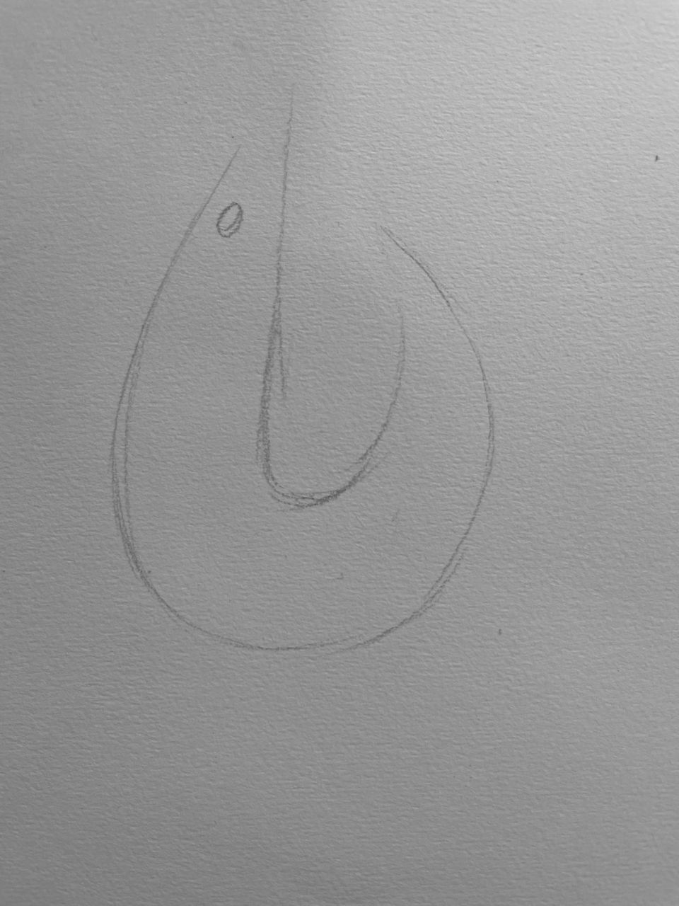 四个步骤教你画一只素描大虾08 16615第一步要画出虾弯曲的外形