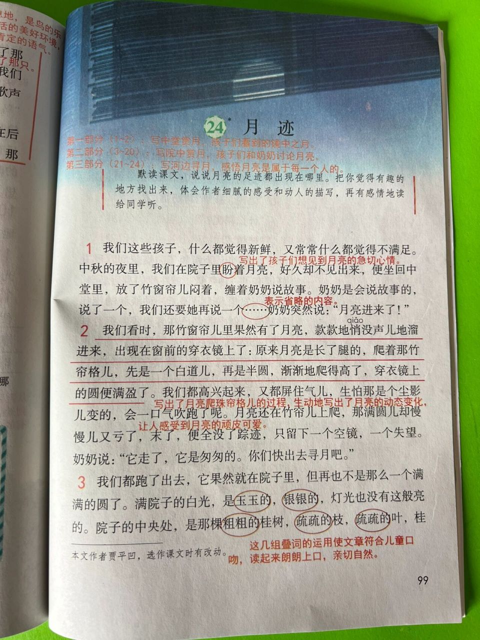 五年级语文上册24《月迹》超详细课本笔记